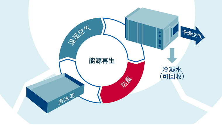 室內泳池,室內泳池設備,室內恒溫泳池設計