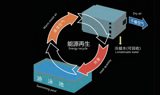 室內泳池恒溫恒濕系統