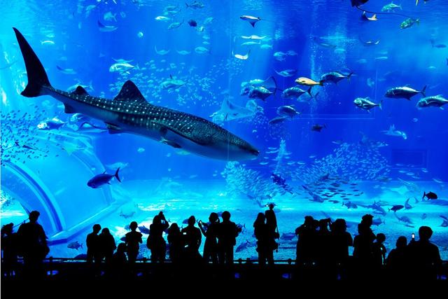 水族館水處理系統設計規劃